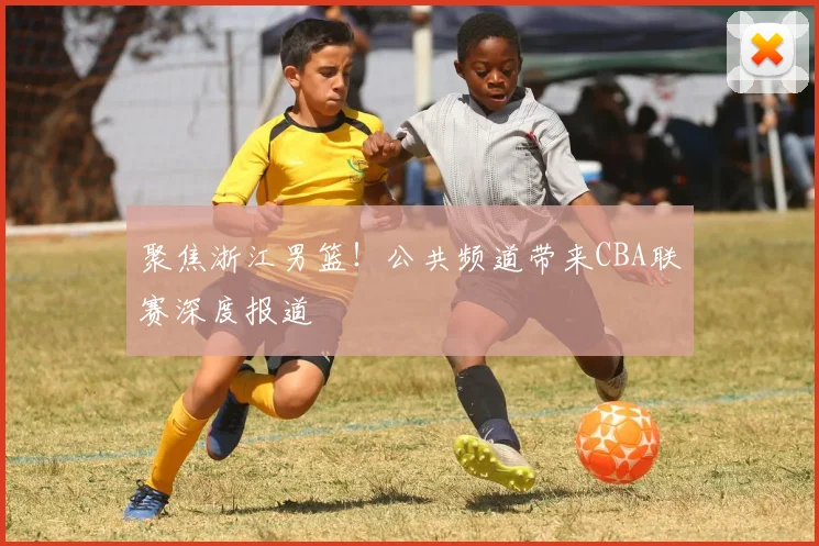 聚焦浙江男篮!公共频道带来CBA联赛深度报道